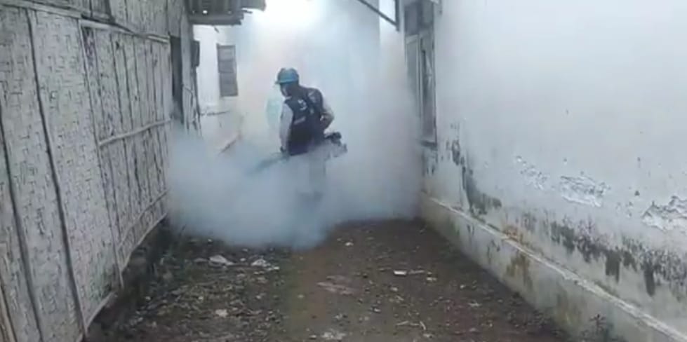 Fogging nyamuk secara swadaya