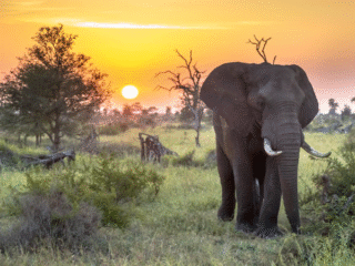 10 Rekomendasi Wisata Afrika Selatan