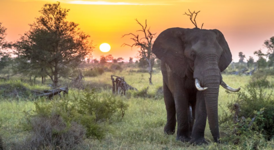 Wisata Afrika Selatan Wisata Afrika Selatan