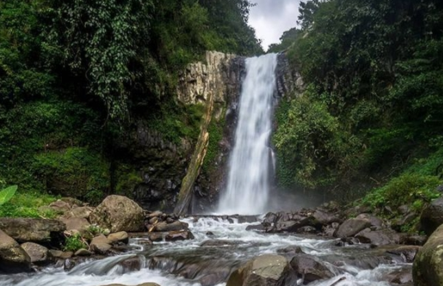 wisata jember