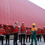 Semen Imasco Asiatic Semen Imasco Asiatic