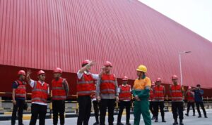 Semen Imasco Asiatic