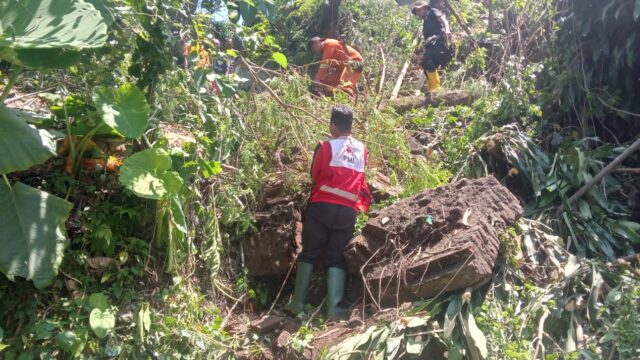Longsor Tutup Akses Jalan di Kepatihan Jember, PMI Turun Tangan